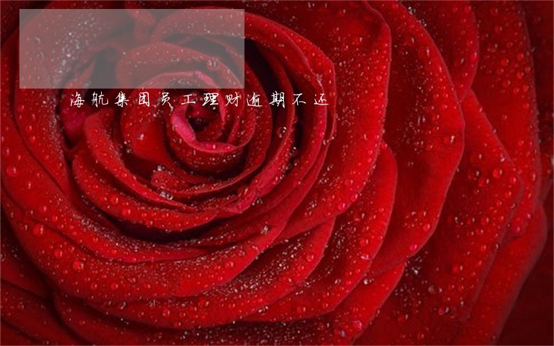 海航集团员工理财逾期不还 海航集团员工理财逾期不还