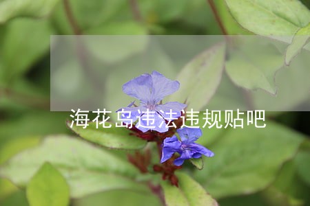 海花岛违法违规贴吧 海花岛违法违规贴吧