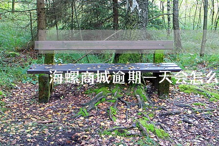 海螺商城逾期一天会怎么样 海螺商城逾期一天会怎么样