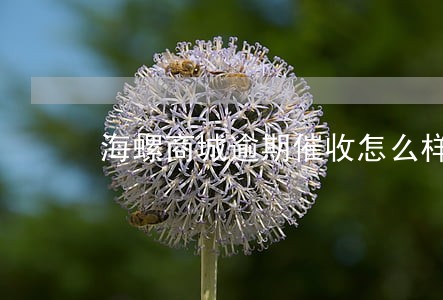 海螺商城逾期催收怎么样催收 海螺商城逾期催收怎么样催收