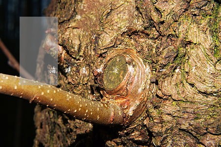 海螺商城逾期第一天不打电话