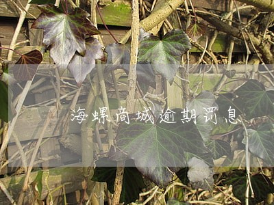 海螺商城逾期罚息 海螺商城逾期罚息