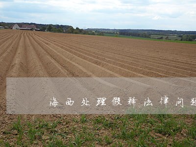 海西处理假释法律问题律师 海西处理假释法律问题律师