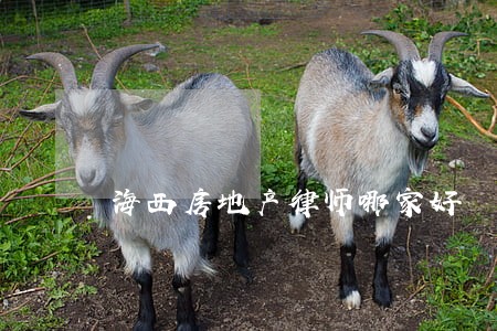 海西房地产律师哪家好 海西房地产律师哪家好