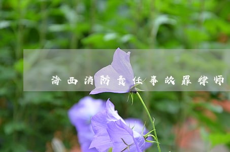 海西消防责任事故罪律师咨询