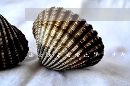 海西火灾赔偿法律咨询热线