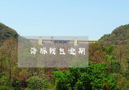 海豚钱包逾期