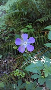 海象理财兑付逾期的原因 海象理财兑付逾期的原因