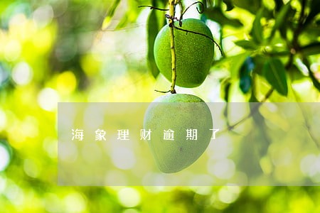 海象理财逾期了 海象理财逾期了