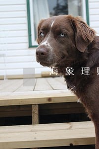 海象理财逾期会按时支付吗 海象理财逾期会按时支付吗