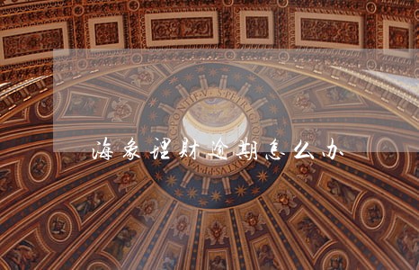 海象理财逾期怎么办