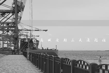 海豹商城逾期三天没短信 海豹商城逾期三天没短信