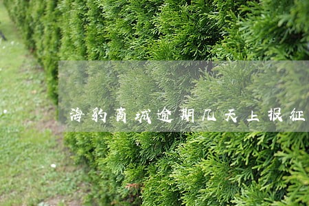海豹商城逾期几天上报征信 海豹商城逾期几天上报征信