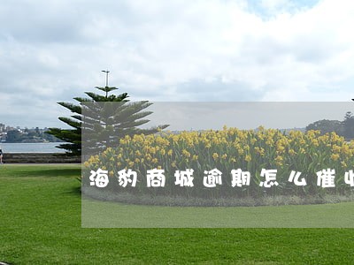 海豹商城逾期怎么催收