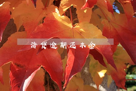 海贷逾期还本金 海贷逾期还本金