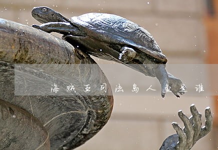 海贼王司法岛人鱼是谁 海贼王司法岛人鱼是谁