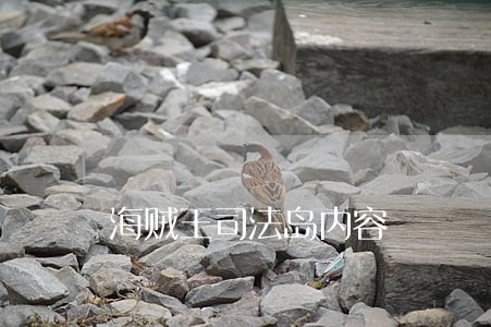 海贼王司法岛内容