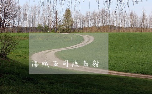 海贼王司法岛射