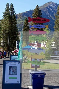 海贼王司法岛最后悬赏 海贼王司法岛最后悬赏