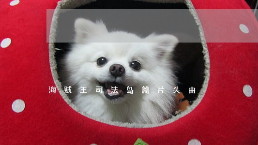 海贼王司法岛篇片头曲 海贼王司法岛篇片头曲