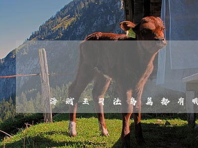 海贼王司法岛篇都有哪些集 海贼王司法岛篇都有哪些集