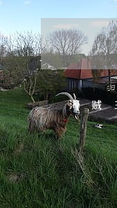 海贼王司法岛纯音乐 海贼王司法岛纯音乐
