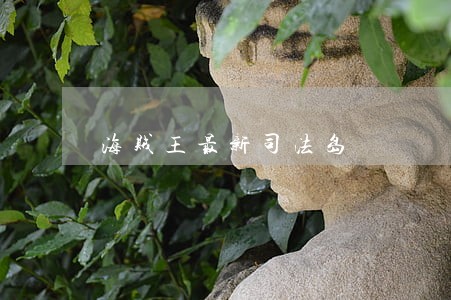 海贼王最新司法岛 海贼王最新司法岛