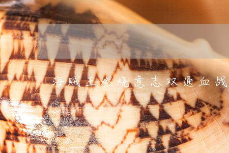 海贼王燃烧意志双通血战司法岛 海贼王燃烧意志双通血战司法岛
