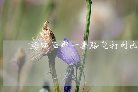 海贼王那一集路飞打司法岛 海贼王那一集路飞打司法岛