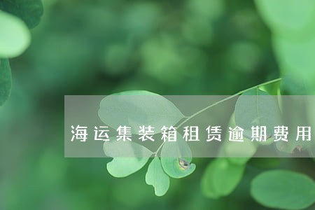 海运集装箱租赁逾期费用