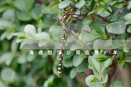 海通恒信公司逾期4年 海通恒信公司逾期4年