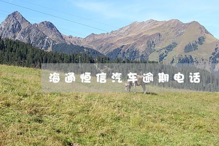 海通恒信汽车逾期电话 海通恒信汽车逾期电话