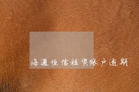 海通恒信租赁账户逾期 海通恒信租赁账户逾期