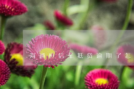 海通恒信车抵贷逾期了怎么处理 海通恒信车抵贷逾期了怎么处理