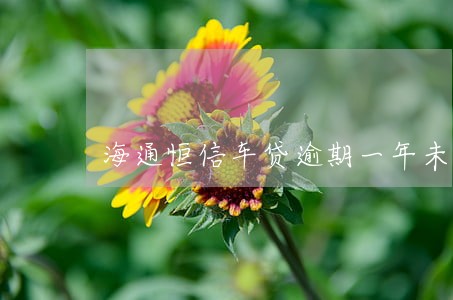 海通恒信车贷逾期一年未还款 海通恒信车贷逾期一年未还款