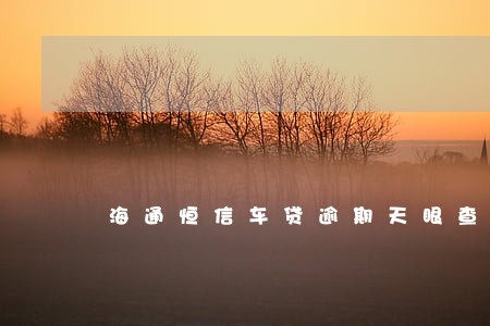 海通恒信车贷逾期天眼查 海通恒信车贷逾期天眼查