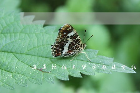 海通恒信车贷逾期提前结清 海通恒信车贷逾期提前结清