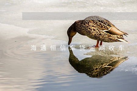 海通恒信车贷逾期收车