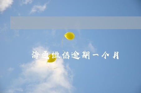 海通恒信逾期一个月
