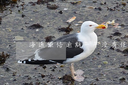 海通恒信逾期一年没有任何催收