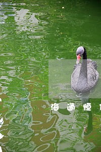 海通恒信逾期了一个月 海通恒信逾期了一个月
