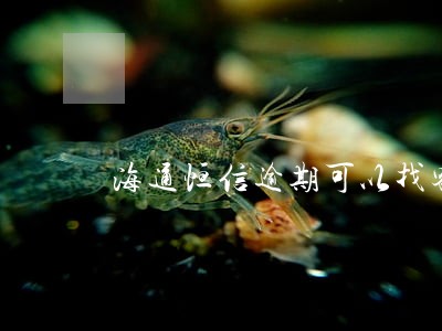 海通恒信逾期可以找客服协商吗
