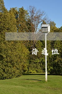 海通恒信逾期拖车有权拍卖吗 海通恒信逾期拖车有权拍卖吗