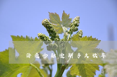 海通金融逾期多久收车 海通金融逾期多久收车