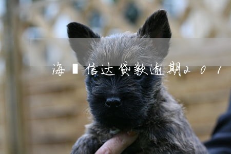 海钜信达贷款逾期2019 海钜信达贷款逾期2019