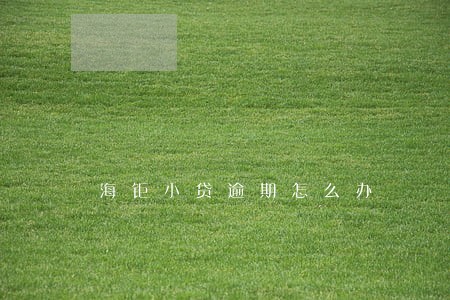 海钜小贷逾期怎么办 海钜小贷逾期怎么办