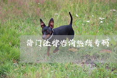 海门法律咨询热线号码 海门法律咨询热线号码