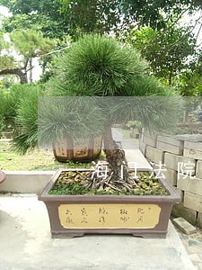 海门法院王欢 海门法院王欢