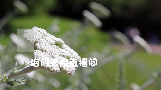 海门法院直播间 海门法院直播间