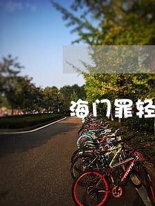 海门罪轻辩护律师服务 海门罪轻辩护律师服务